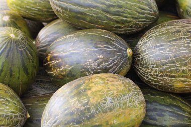 Güzel renk ve lezzetli tadı olağanüstü kavunlar