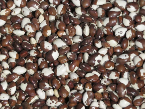 Gambar yang indah dari kacang berdenyut rasa besar dan rasa lezat — Stok Foto