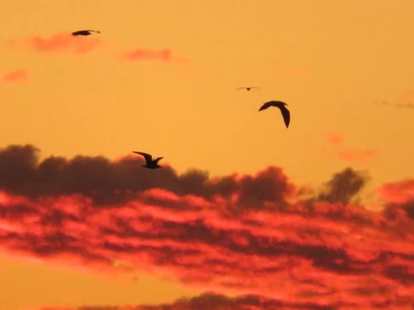 Bella foto di un tramonto con bel colore tra le nuvole — Foto Stock