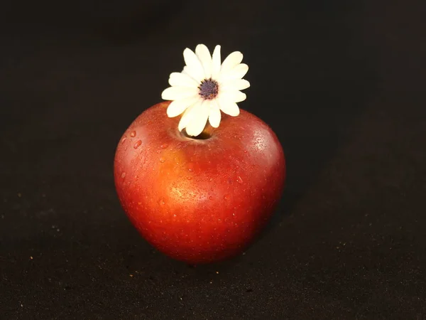 Röd Äpple Doft Blomma Kvalitet Läcker Naturlig Smak — Stockfoto