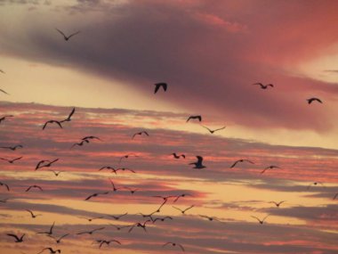 Güzel bir gün batımı fotoğrafı Bulutlarda güzel bir renk