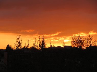 Gün batımı ufku gizli güneş ışığı bitki örtüsü