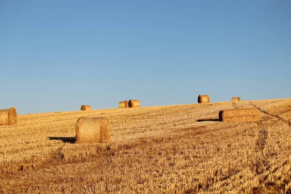 Campo Cortado Español Español España Con Paja Recogida Fardos — Foto de Stock