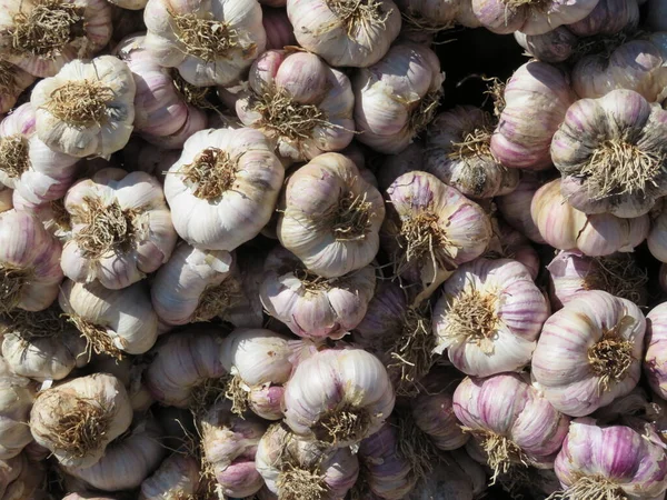 Delicious Purple Garlic Great Taste Strong Smell — Stock Photo, Image