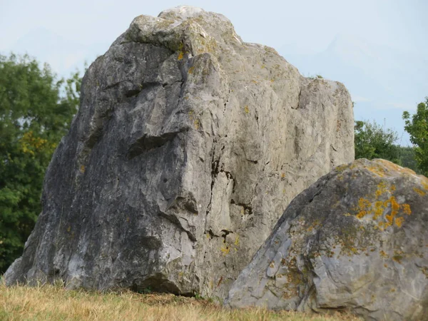 Vacker Natursten Med Lejonansikte Eller Något Liknande Utan Att Vara — Stockfoto