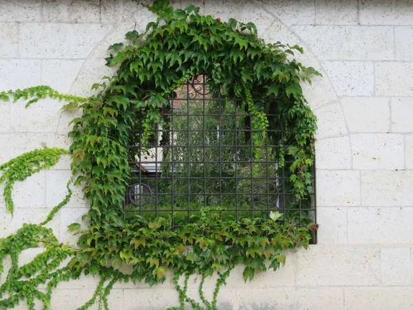 Vackert Fönster Med Grönt Gräs Runt Den Naturliga Ramen — Stockfoto