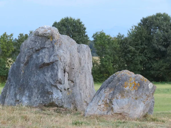 Красивый Природный Камень Лицом Льва Этом Роде Будучи Скульптурой — стоковое фото