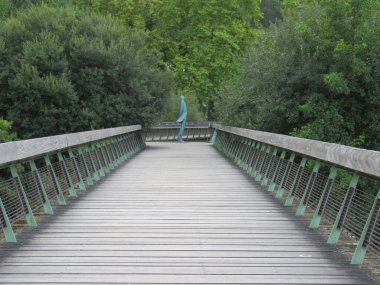 Arka planda sanatsal bir figürle güzel bir ahşap geçit.