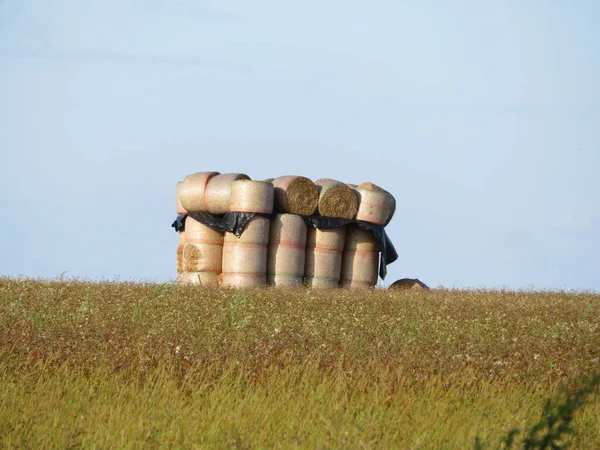 Mooie Gestapelde Stro Kogels Creëren Een Artistieke Figuur Het Veld — Stockfoto