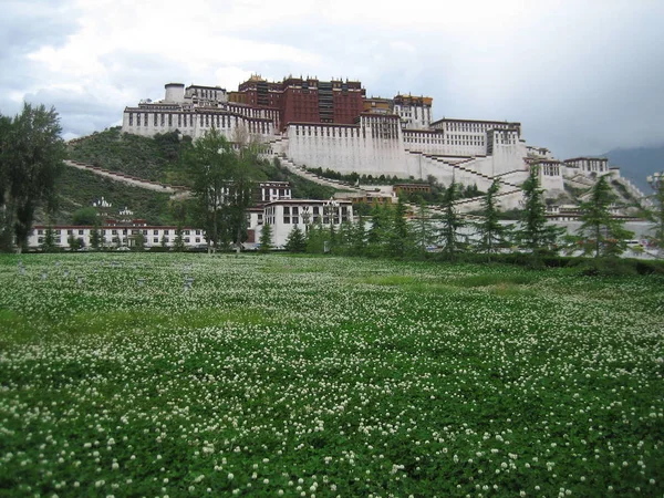 Het Potala Paleis Tibet Terug 2008 — Stockfoto
