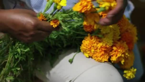 Las Manos Las Flores Cempasuchitl Para Día Los Muertos — Vídeos de Stock