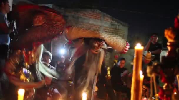 Gabino Barreda Acatlan Puebla México Novembro 2017 Tecuanos Tradicionais Dançando — Vídeo de Stock