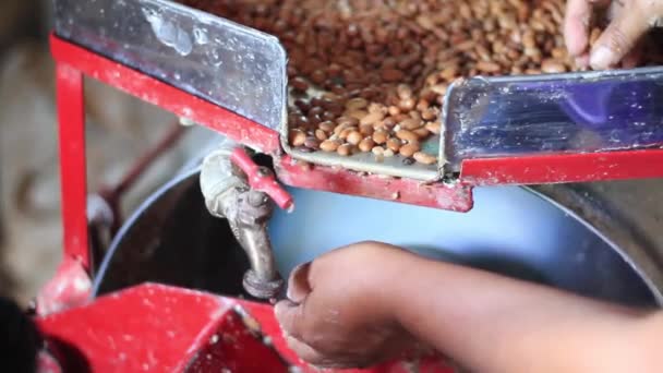 Grind Bean Auténtico México — Vídeo de stock