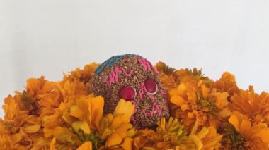 Otantik Amaranthus kafatası ölülerin, Meksika günü çiçeklenir cempasuchitl üzerinde
