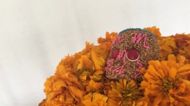 Otantik Amaranthus kafatası ölülerin, Meksika günü çiçeklenir cempasuchitl üzerinde