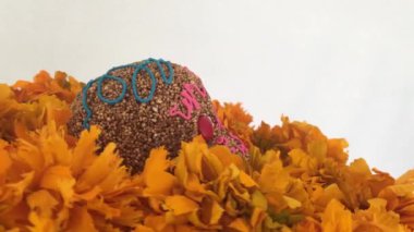 Otantik Amaranthus kafatası ölülerin, Meksika günü çiçeklenir cempasuchitl üzerinde