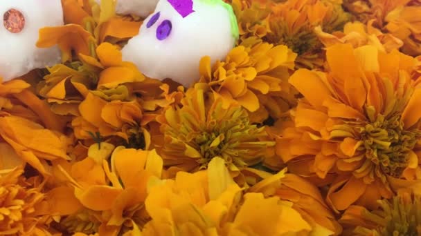 Crâne authentique sur des fleurs de cempasuchitl au jour des morts, Mexique 