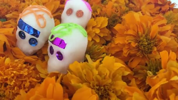 Auténtico Cráneo Sobre Flores Cempasuchitl Día Los Muertos México — Vídeo de stock