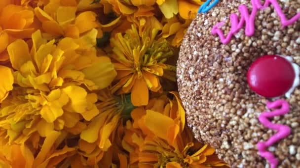 Auténtico Cráneo Amaranthus Sobre Flores Cempasuchitl Día Los Muertos México — Vídeos de Stock