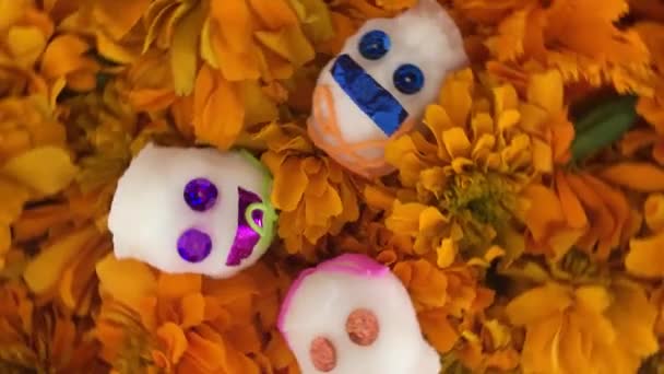 Otantik Şeker Kafatası Ölülerin Meksika Günü Çiçeklenir Cempasuchitl Üzerinde — Stok video
