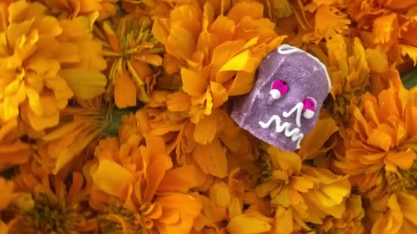 Crânio Autêntico Sobre Flores Cempasuchitl Dia Dos Mortos México — Vídeo de Stock