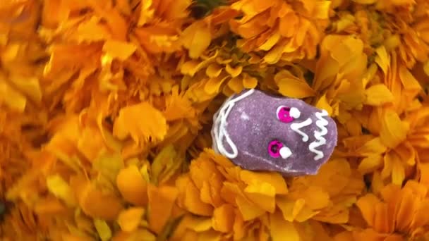 Αυθεντικό Κρανίο Πάνω Cempasuchitl Λουλούδια Για Την Ημέρα Των Νεκρών — Αρχείο Βίντεο