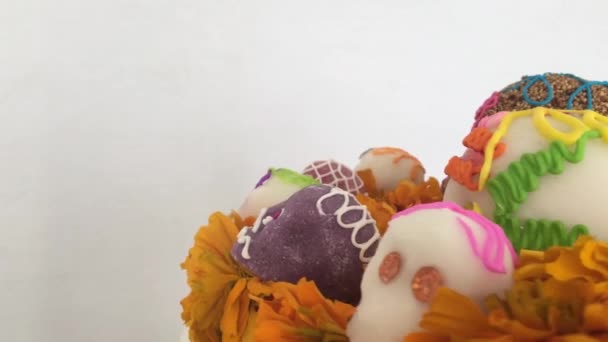Autentiska Skalle Över Cempasuchitl Blommor Dag Döda Mexiko — Stockvideo