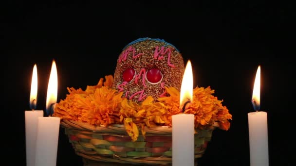 Auténtico Cráneo Amaranto Para Día Los Muertos Con Velas — Vídeos de Stock