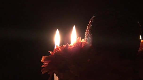 Auténtico Cráneo Amaranto Para Día Los Muertos Con Velas — Vídeo de stock