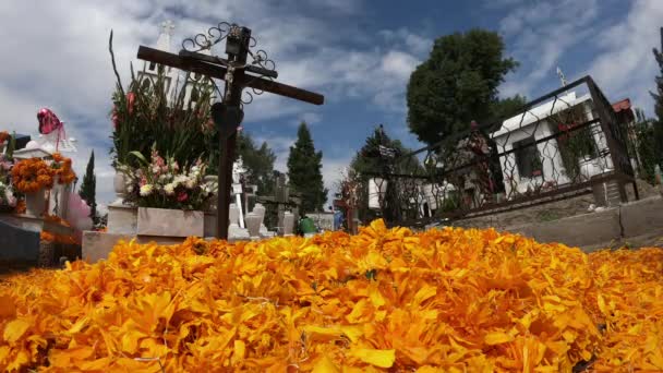 メキシコでの死者の日の墓 — ストック動画