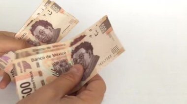 500 pezoluk Meksika banknotları sayılıyor.