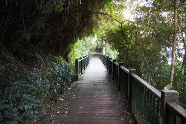 Ağaç tünel güneş ay Gölü, Tayvan ahşap yürüme yolu ile
