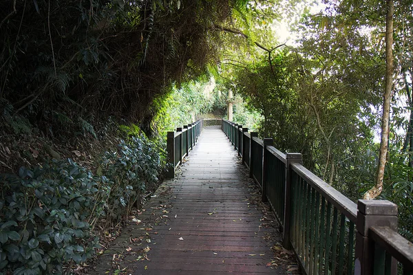 Ağaç tünel güneş ay Gölü, Tayvan ahşap yürüme yolu ile