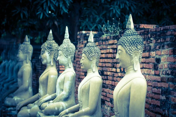 Estatuas Buda Alineadas Estatus Buda Wat Yai Chaimongkol Ayutthaya Tailandia — Foto de Stock