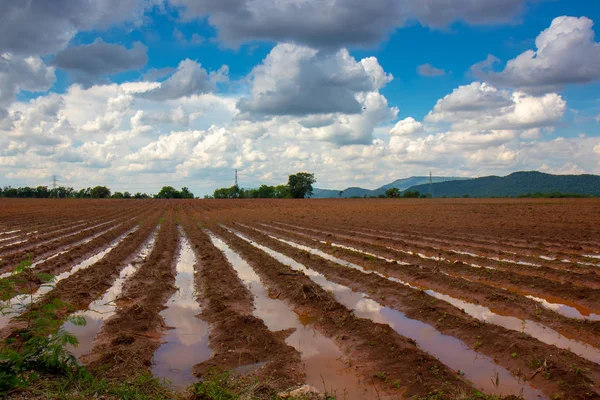 Plowed alan, yağmur sonrası Ekim için hazır durumu