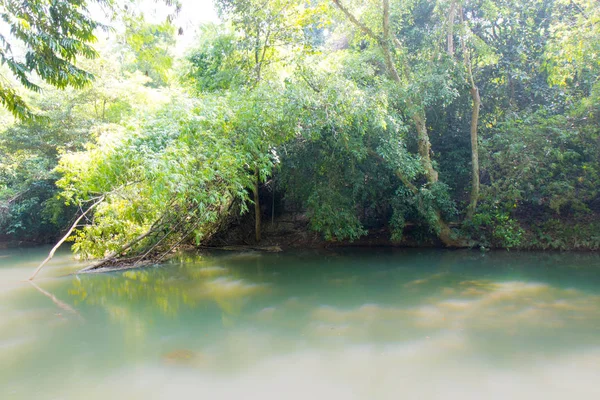 Caminho Através Floresta Longo Cachoeira Jed Sao Noi Saraburi Tailândia — Fotografia de Stock