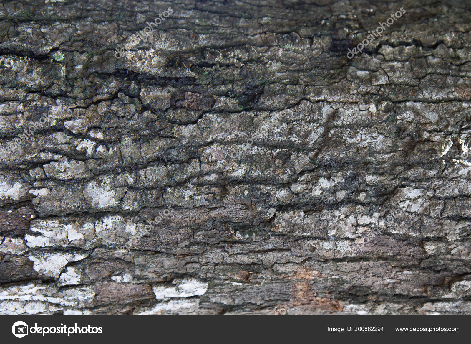 Nature Dark Brown Wood Stain Close Texture Background ⬇ Stock Photo
