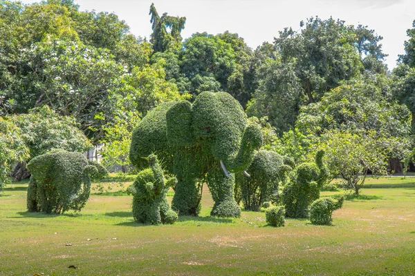 Дерево Слонов Дворце Банг Таиланде — стоковое фото