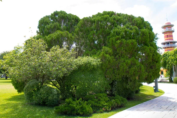 Parque Pasarela Con Arbustos Césped Verde Diseño Del Paisaje — Foto de Stock