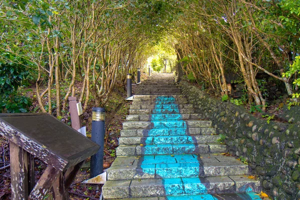 Escalera Ladrillo Hormigón Que Conduce Una Pasarela Través Selva — Foto de Stock