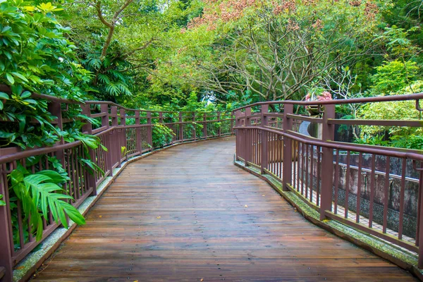 Pasarela Madera Jardín Con Hojas Verdes — Foto de Stock