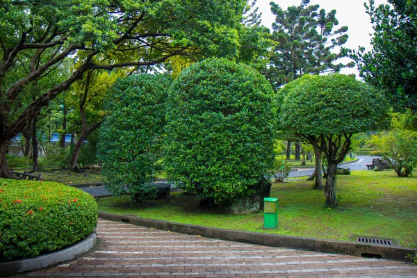 Der Gehweg Park Mit Sträuchern Und Grünen Rasenflächen Landschaftsplanung — Stockfoto