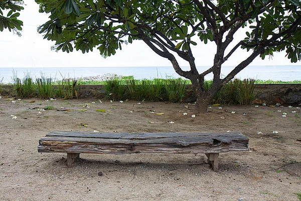 Les Chaises Bois Bord Mer — Photo