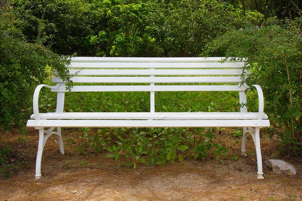 White Chairs Garden — Stock Photo, Image