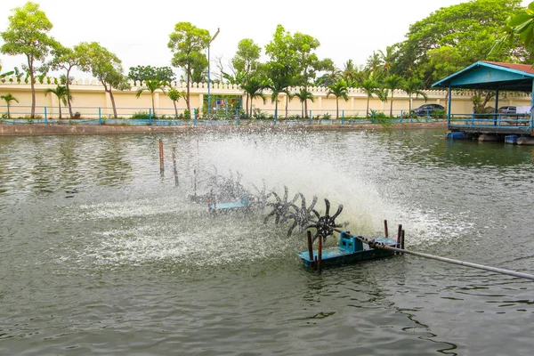 Türbin mekanik oksijenasyonu suda çalışan bir havuzda.
