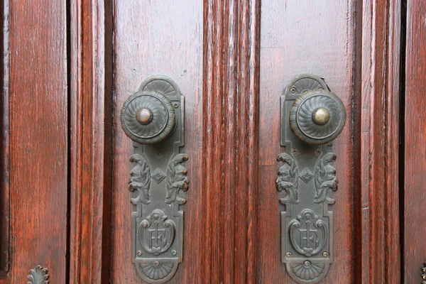 Modern wooden door with metal door handle over