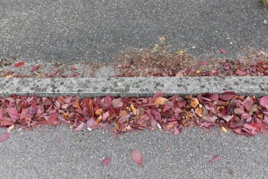 Taş ve Yapraklar geçidi