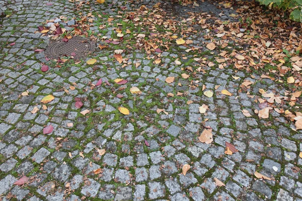 Chodnik z kamienia i liści — Zdjęcie stockowe