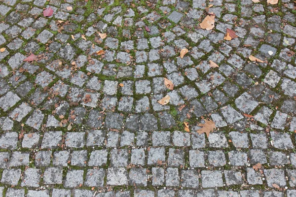 Текстура каменной дорожки — стоковое фото