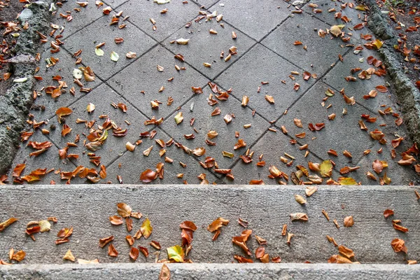 Walk up the hill Made — Stock Photo, Image